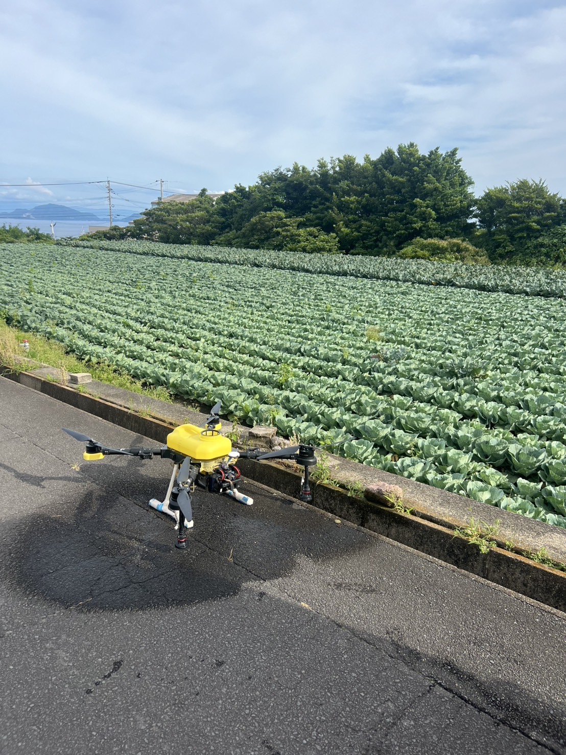 <br />
<b>Warning</b>:  Undefined property: stdClass::$representative_name in <b>/home/xb672915/droneplatform.jp/public_html/droneplatform/service/companies.php</b> on line <b>248</b><br />
