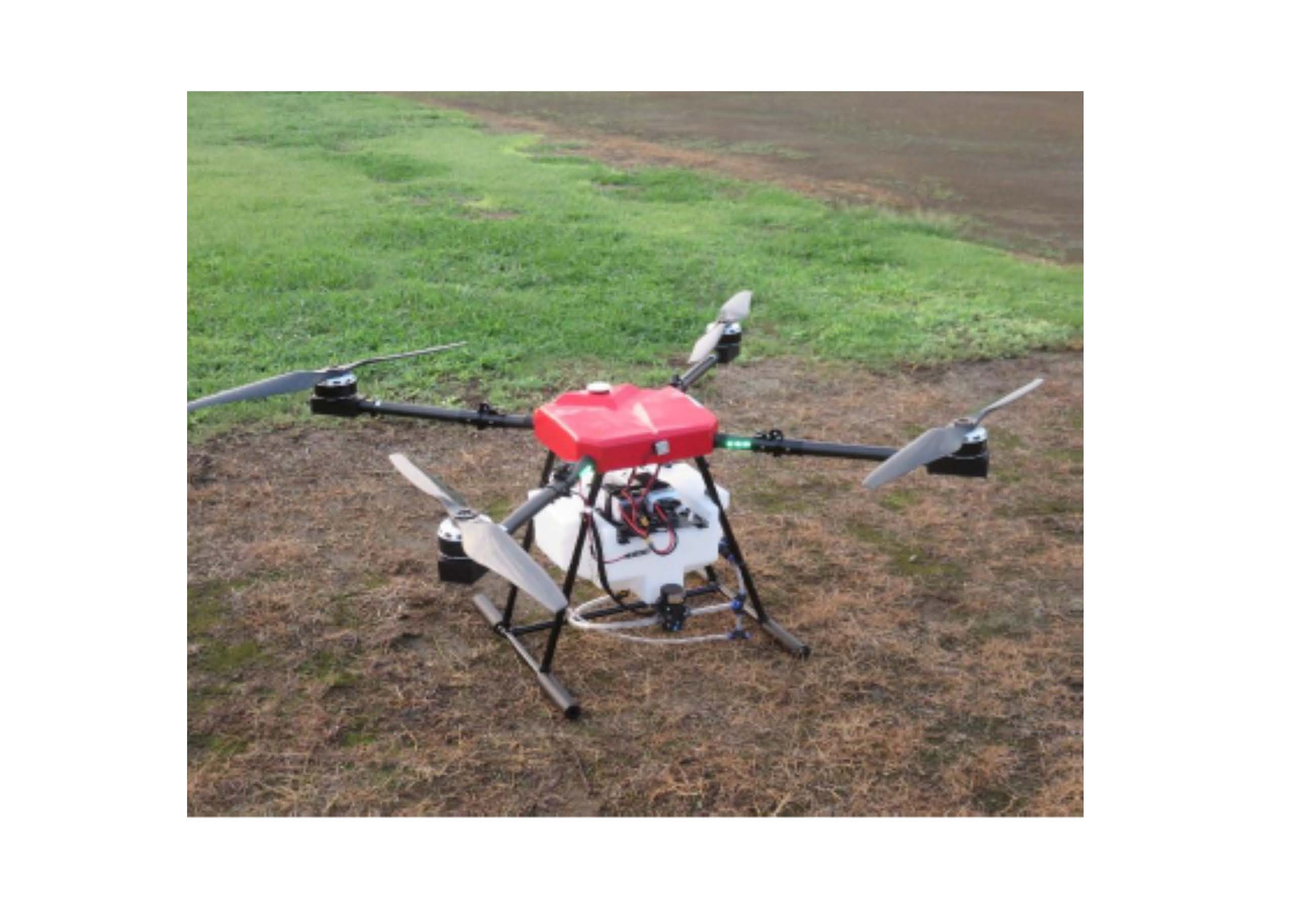 MORINEE（モリネェ）