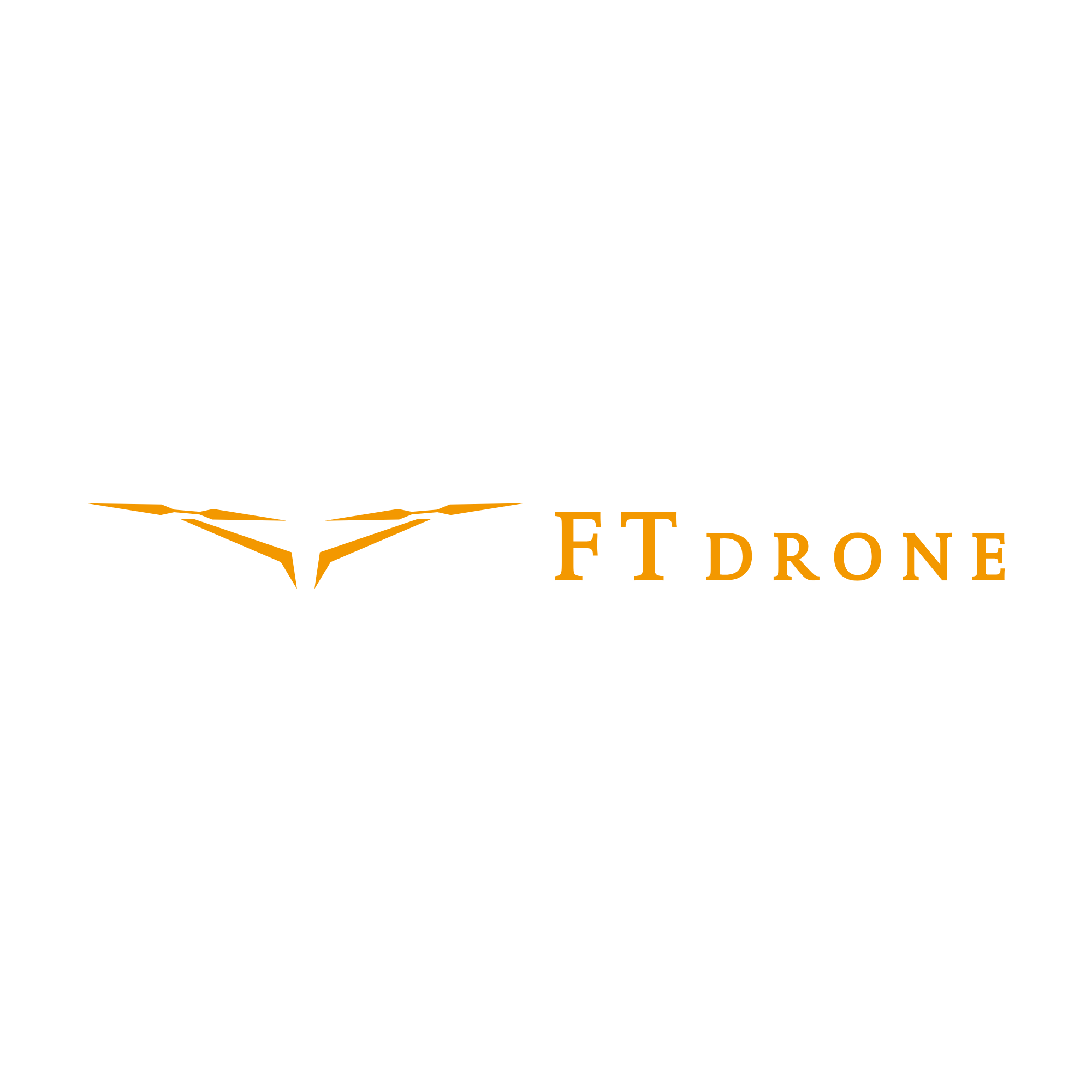 Ft_drone