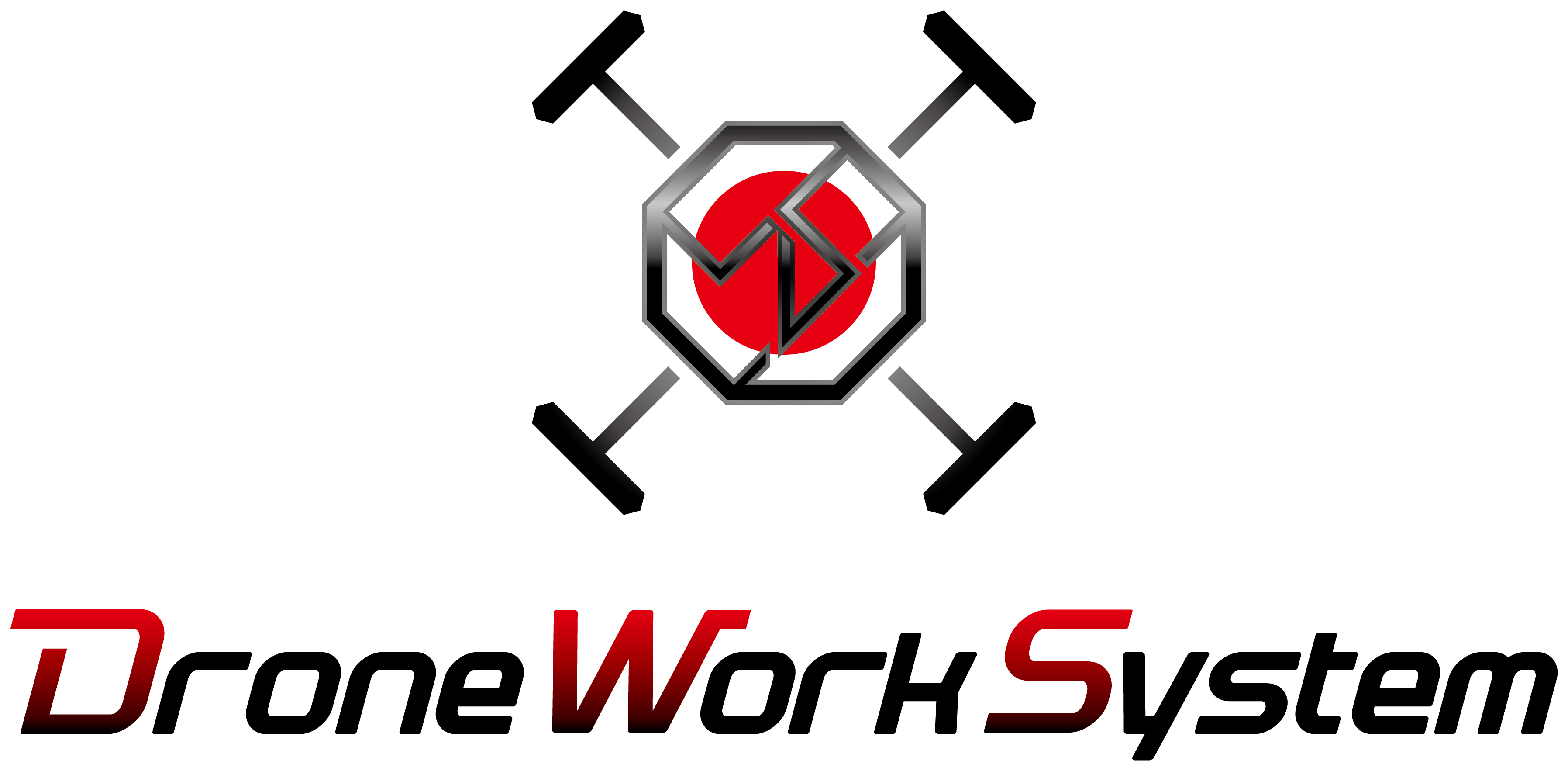 株式会社DroneWorkSystem