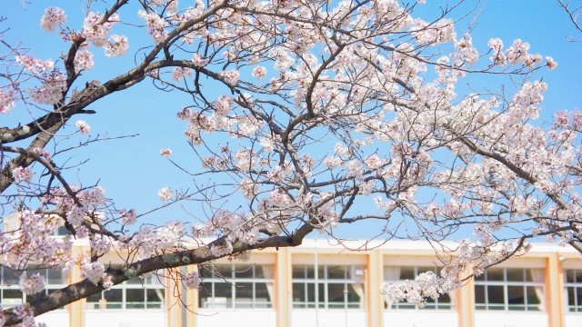 新規開校小学校　施設紹介映像制作