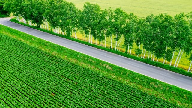 散布ドローンによる除草剤散布