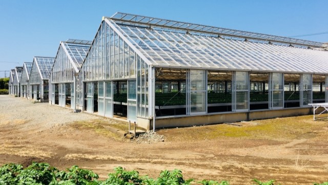 散布ドローンによるビニールハウスへの遮光剤散布