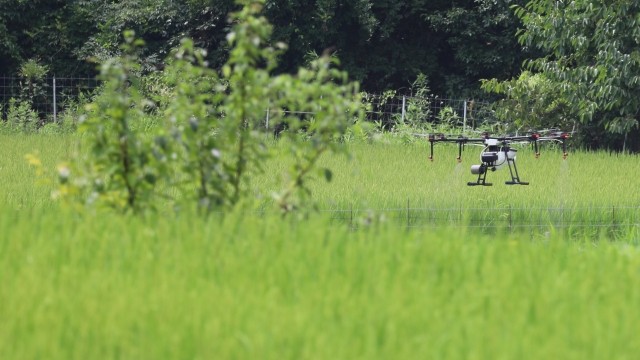 施設敷地内　ドローンによる除草剤散布