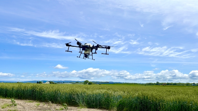 散布ドローンによる除草剤散布