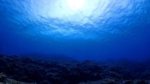 水中ドローンによる港湾施設点検