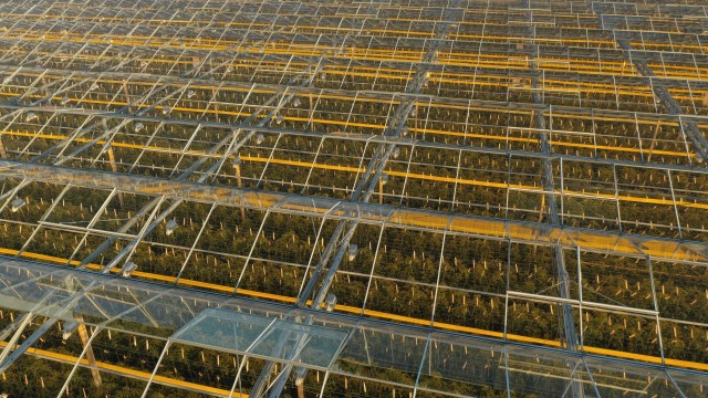 散布ドローンによる施設園芸ハウスへの遮熱剤散布