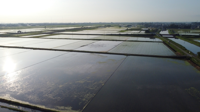 散布ドローンによる肥料散布